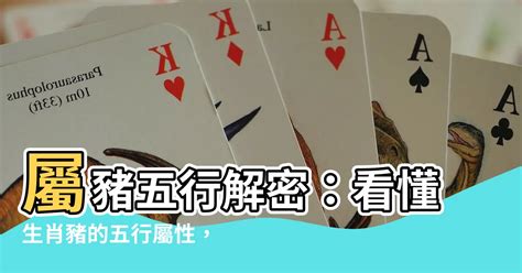 豬五行|【豬五行】屬豬五行解密：看懂生肖豬的五行屬性，助你趨吉避兇。